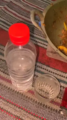 wes stelan pas 🐊 #tulungagung24jam #tulungagung #sobathaik #jeksoromase 