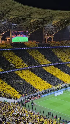 تيفو #الاتحاد في ليلة التتويج #thesaudileague #دوري_روشن_السعودي #الرياضه_علي_التيك_توك 