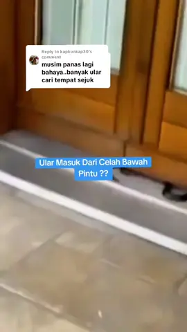 Replying to @kapkunkap30yup betul ,kena hati2,mana2 celah lubang wajib tutup #wakjarco #kasiupbarangpadu #penutupbawahpintu #doorsealstrip #ularmasukrumah 