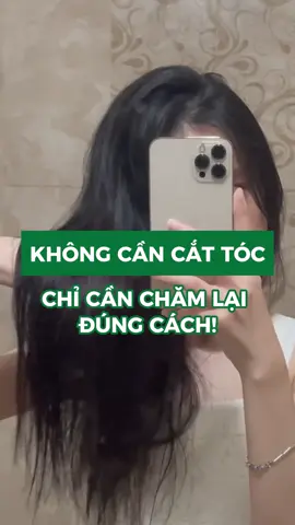 Tóc khô xơ không cần cắt, chỉ cần chăm lại đúng cách! #cocayhoala #daugoibuoi #daugoithaoduoc #duongtoc #haircair #moctoc 