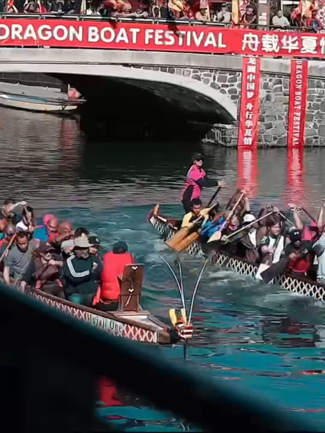 “Culture of China - Cape Town Dragon Boat Festival 2025” Brings Vibrant Celebration to Cape Town#dragonboatfestival