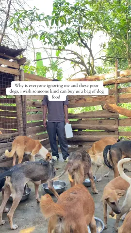 #animalsoftiktok #doglover #dogsoftiktok #mrbeast #mrbeastchallenge #trendingvideo #tictok 