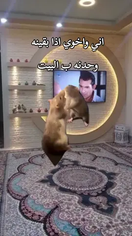 #Meme #MemeCut #CapCut 