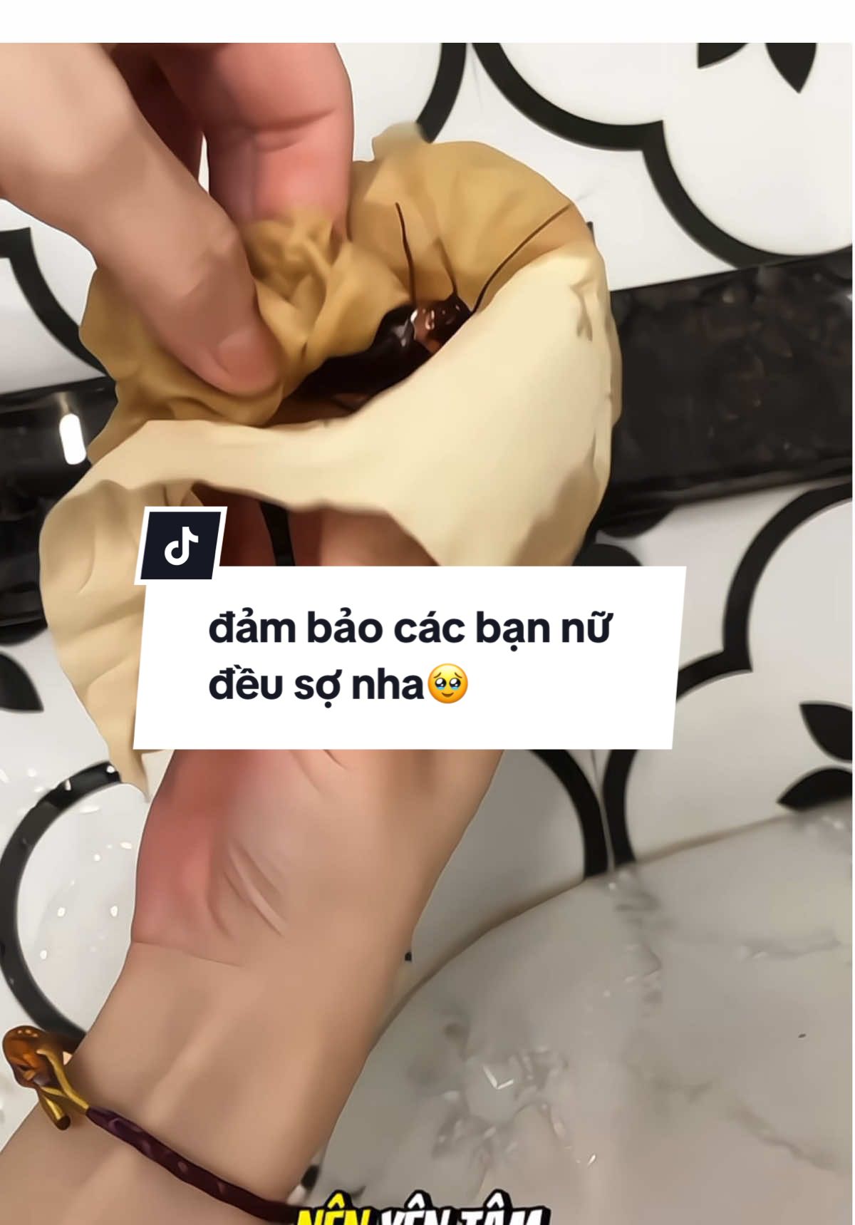 Con gián này đảm vảo các bạn nữ đều sợ đúng nha 🥹🥹 #viendietgian #viendietgiansinhhocamb #duongthuyreview #review 