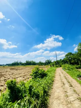 Weather 😩❤️‍🩹#foryou #weather #skyview #bdtiktokofficial #foryoupage #nature #treanding 