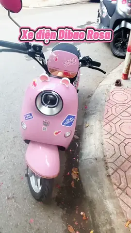 Vlog một ngày của mình cùng em xe điện Dibao Rosa bên @DIBAO Việt Nam #xediendibao #dibaovietnam 