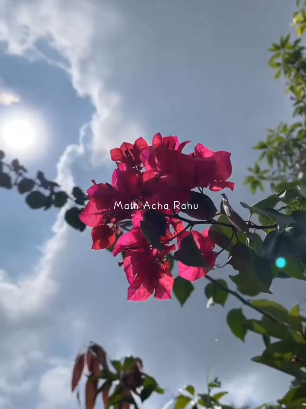 Koi Apna Hoga 🖤🥀 #tonykakkar #aestheticstatus #newsong #lofi_lyrics #status  #slowedreverb #lyricsstatus  #viral #foryou #tiktok #trending 