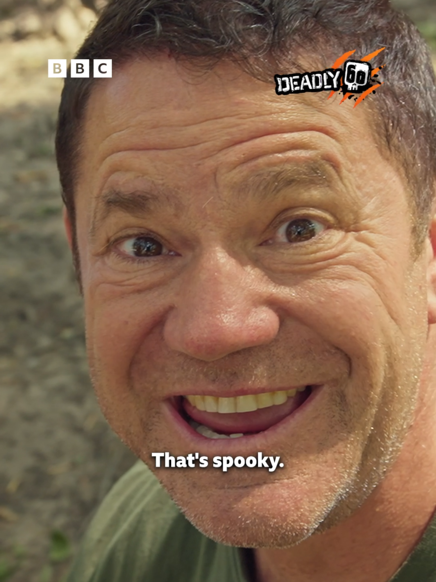 Who knew that termites' defence mechanism could be so oddly satisfying sending us into a world of #ASMR 🐜 #Deadly60 #CBBC #BBCiPlayer