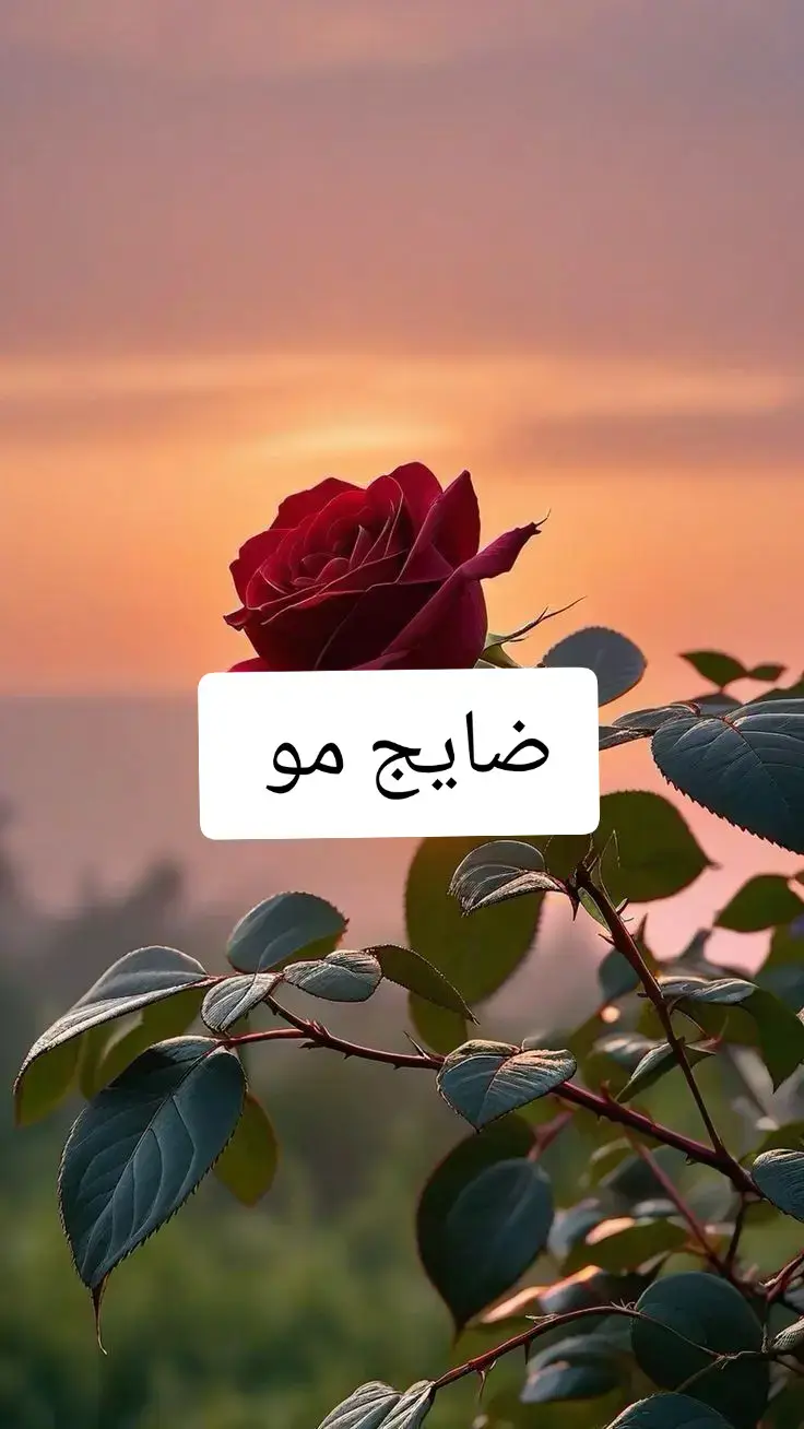 #ياحسين #ياحسين