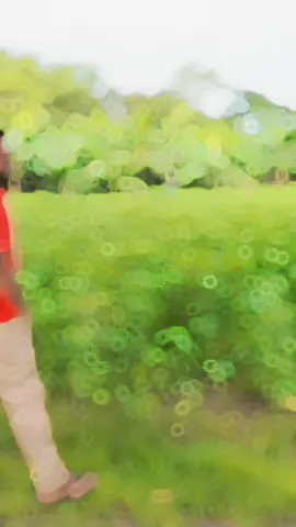 ভালোবাসি ভালোবেসে যাব সারা জনম ধরে ❤️❤️@obuj Mon  #tiktokbangladeshoficial🇧🇩 #CapCut 