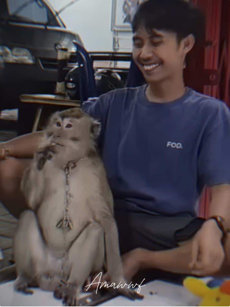 Moly dengan segala tingkah randomnyaa😭🫠 #masyoyok #masyoyokgwsm #najibgwsm #gwsm #garudawisnusatriamuda #gwsmlovers👹 #fyppppppppppppppppppppppp #masukberandafyp #berandatiktok #CapCut 