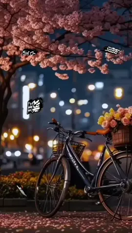 愛到才知痛 黃乙玲 #情感共鳴 #完整版 #情感音樂💕🎼 #音樂分享💞🎧🍀 