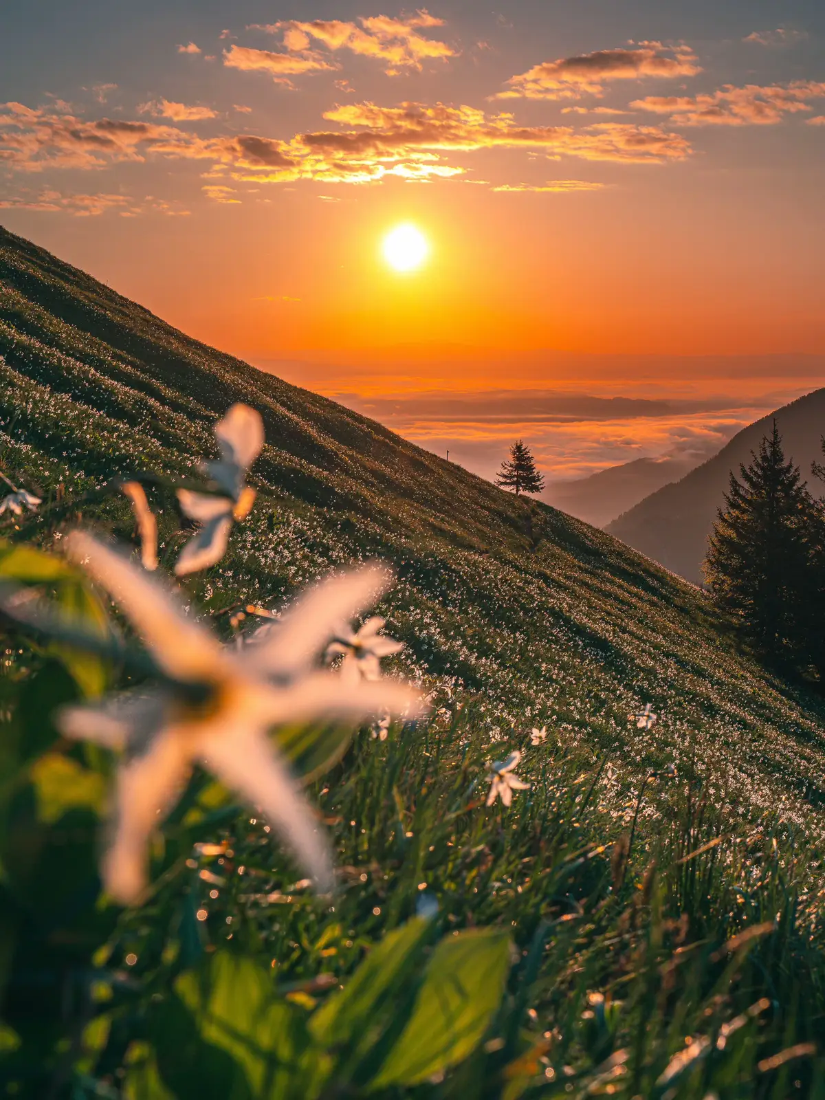 Chase the sun and you will never forget the early mornings. I think that is beautiful ❤️  #slovenija #golica #spring #nature #landscape #landscapephotography #photographer #mountains #sunrise #sunrisehike #hike #beautifuldestinations 