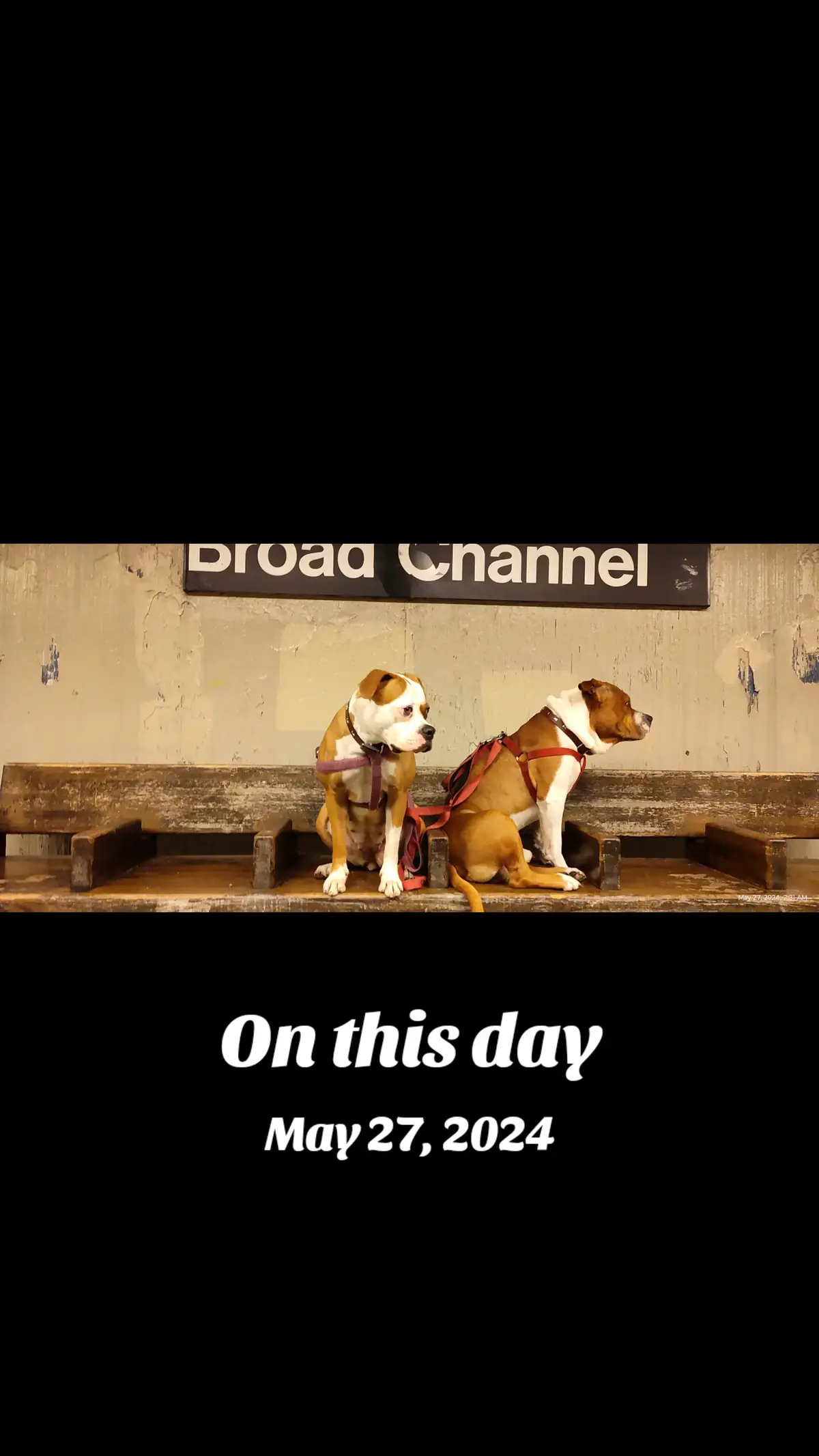 #onthisday