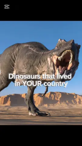 Follow me for daily content!!!#dinosaur #prehistoric #dinosaurs #oldearth #australovenator #tarbosaurus #titanosaurus #dinosaurfacts 