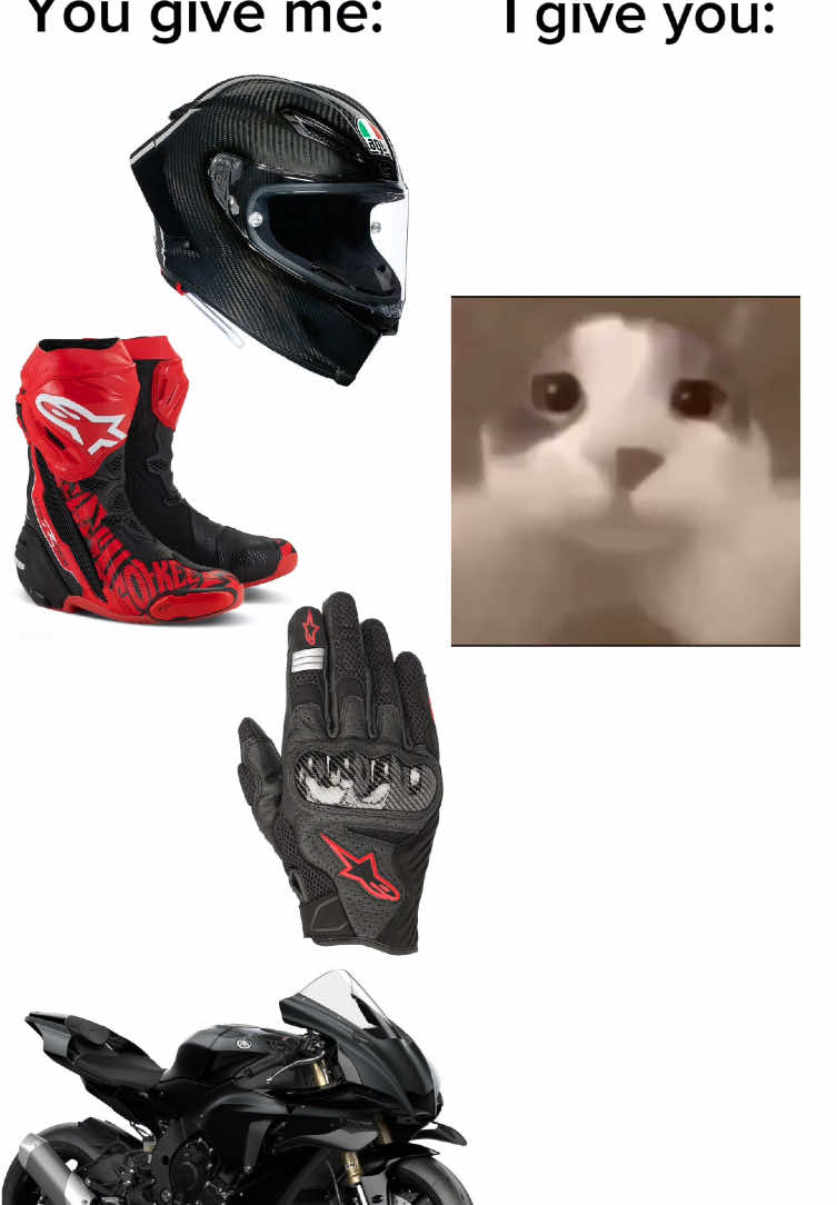 Deal?   #motorbikes #pistagprr #bikes #alpinestars 