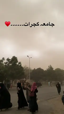 University Of Gujrat♥️ #universityofgujrat #uogian #universityofgujrat❤ #hafizhayatcampus #fyp #viral #syedhamid942 
