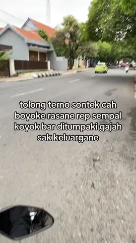 #fypage #beranda #elephant #foryou #bukanmaen 