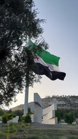 رفع علم الجمهورية العربية السورية، على اكبر سارية في دمشق #creatorsearchinsights 