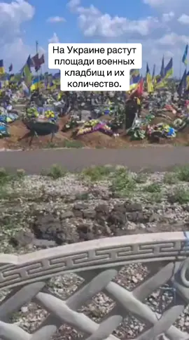 На Украине растут площади военных кладбищ и их количество 26 декабря 2024 Видео: По данным русской разведки уже погибло более 800-ти тысяч украинские военных и националистов.Автор: Виктор ЗагвоздинВ связи со стремительным наступлением ВС России потери ВСУ уже исчисляются десятками тысяч погибших. Против хорошо подготовленной армии России киевские власти отправляют на фронт неподготовленных бойцов в качестве пушечного мяса, таким образом предоставляя России подавляющее превосходство, пишет издание Русская Весна. Журналисты показали кладбище в Днепропетровске, где принято хоронить военных. Площадь свежих захоронений выросла в несколько раз.Только в генеральном штабе ВСУ предпочитают говорить о большом количестве погибших, озвучивая скромные цифры, занижая их в несколько раз.На сегодняшний день украинские власти не имеют возможности замедлить продвижение армии России по территории Украины. Русские бойцы освобождают каждый день населенные пункты, в которых засели украинские националисты или бойцы ВСУ. Отсюда и огромные безвозвратные потери со стороны киевского режима. По словам командования армии России, на сегодняшний день по самым скромным подсчетам потери украинской армии составляют более 800-ти тысяч убитыми и до 850-ти тысяч раненными.Уважаемые читатели Федай Николай! Подписывайтесь на наши каналы в Twitter. YouTube Instagram Facebook и Telegram и присоединяйтесь в соцсети Другие. Если вам есть чем поделиться с редакцией Нашей-Социальных-наших-Сетей, присылайте свои наблюдения, вопросы, новости на электронную почту:nikolaifedai@gmail.com#На #Украине #растут #площади #военных #кладбищ #и #их #количество#декабря #По #данным #русской #разведки #уже #погибло #более #ти #тысяч #украинские #военных #националистов#Автор #связи #со #стремительным #наступлением #ВС #России #потери. Украина 🇺🇦 Израиль 🇮🇱 Новости Война.Подписывайтесь на наш телеграм-канал с оперативными новостями:⚡⚡⚡ https://youtube.com/channel/UCpSUuncw2qnp3gXCKbWNHjg Youtube Убийца Путин подпишись на новый канал.https://t.me/+V6gy_UYU2Xr7_A-9 Telegram channel.Группа:https://t.me/+09i39b5THwhlNGYyInstagram nikolaifedai fedainikolai nikolas09121982Facebook Николай ФедайTwitter:nikolaifedai Николай Федай Юрист. 🧑‍💼 YouTube:nikolaifedai Николай Федай Юрист. 🧑‍💼