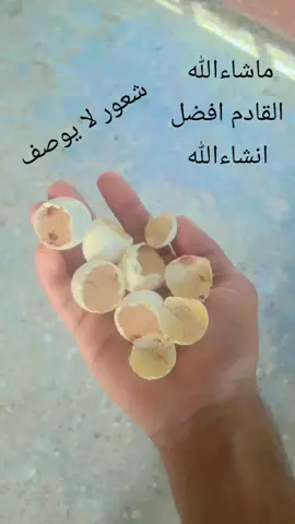 #التار #التاريخ  #التار الرس القديم واحد عراق