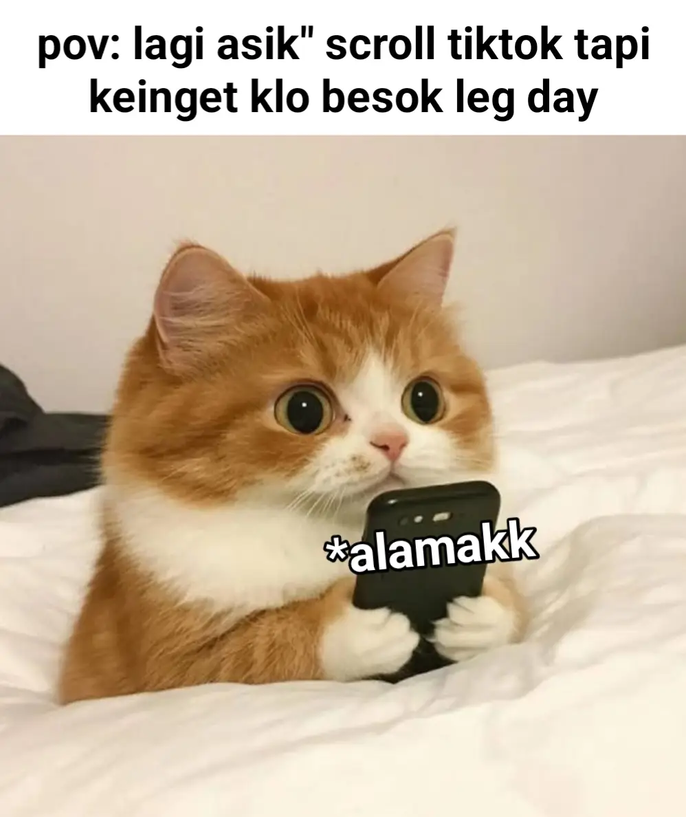 alamak leg dayy tidakkkk
