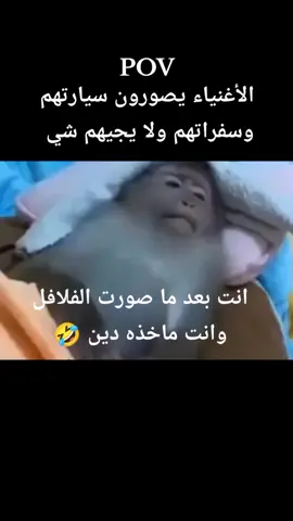حياتنا كلها عيون وحسد وحنا مطفرين 🤣🤣🤣🤣