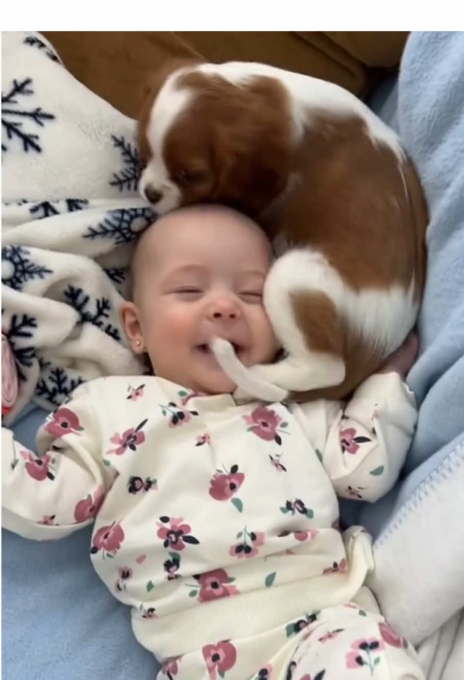 The love of puppies and babies❤️#dog #baby #lovestory #cute #puppy 