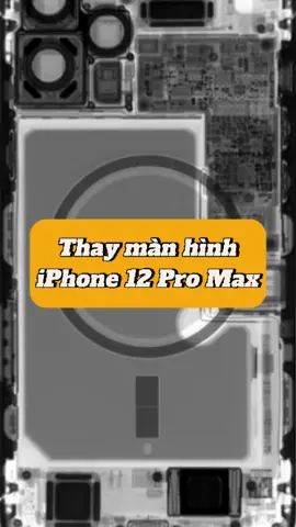 Thay màn hình ip 12 prm #suachuadienthoai #suachua #iphone #iphone12promax #mobilecitycare