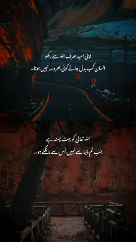 Beshk 🥺💯 #urdupoetry #deeplines #fyp #1millionaudition #foryoupagee #unfreeze #dopalpoetry #viralllllll #poetrystatus #poetry #deepwords #islamic_video #status @Deen-e-Islam💗✨ @bint_e_hawa883 