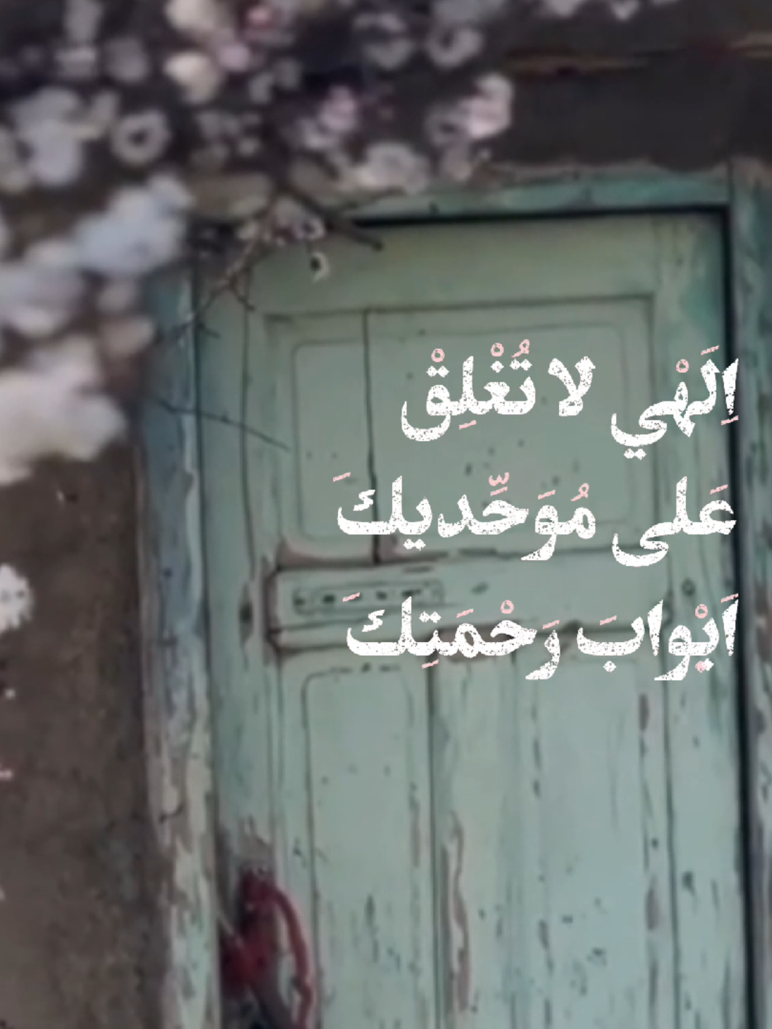 اِلـهي لا تُغْلِقْ عَلى مُوَحِّديكَ اَبْوابَ رَحْمَتِكَ #دعاء_العهد #محسن_فرهمند #دعاء_التوسل  #الحاج_مهدي_سماواتي  #امام_رضا  #viral  #اكسبلور 
