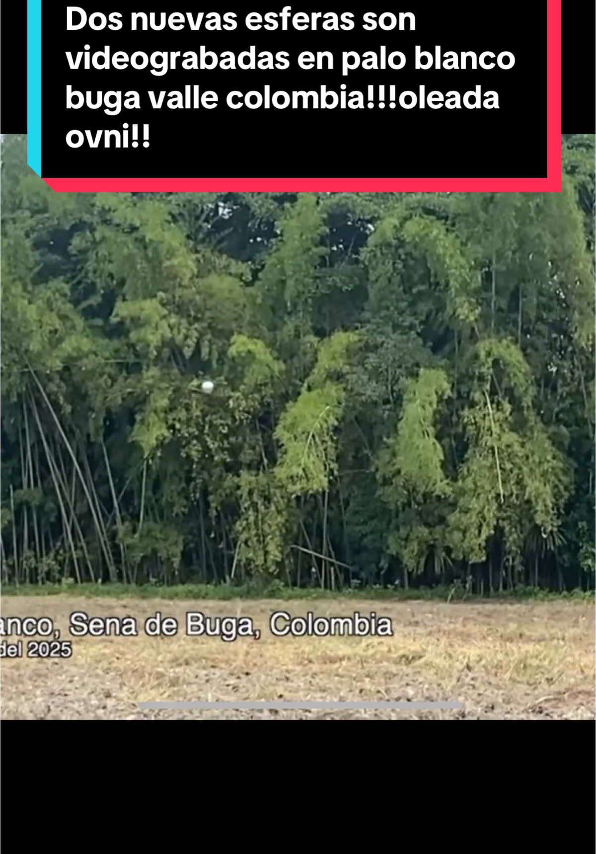 Última hora!!! Revelan dos nuevos videos de dos esferas más en buga Colombia!!oleada ovni!! Que hay allí que les interesa?? 7 de mayo en el municipio palo blanco buga valle colombia!!#amazing #news #viral #ufo #latinos #colombia #videos 