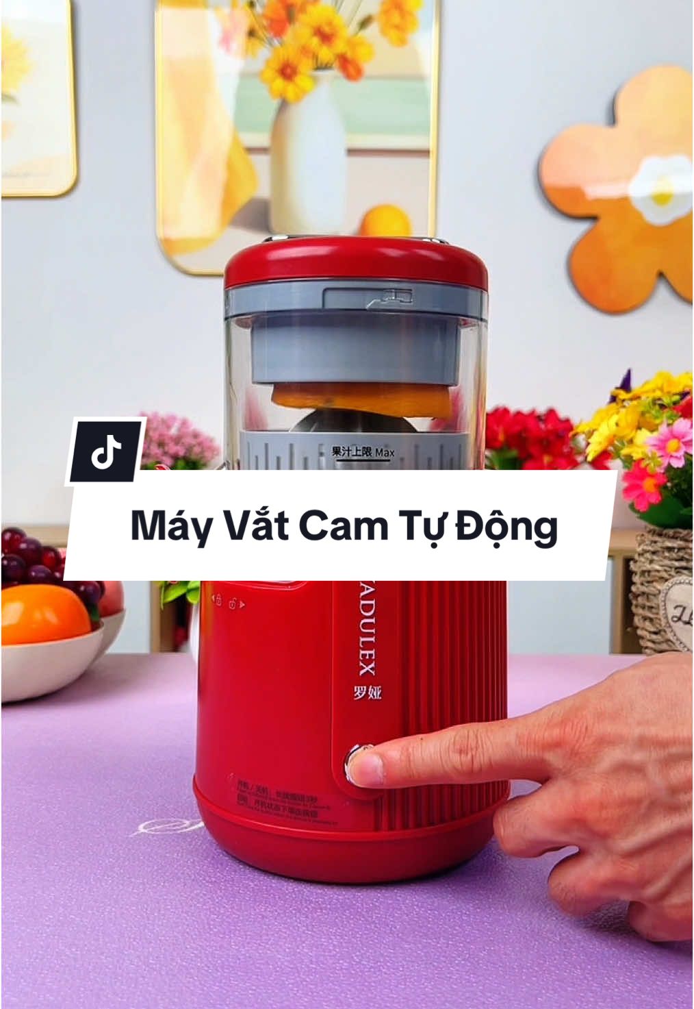 Máy vắt cam, trái cây tự động tiện lợi không thể thiếu trong mùa hè này #Giadungnhaquynh #Shopđồgiadụngtiệních86 #giadungthongminh #giadungtienich #mayepcham #mayeptraicay #mayvatcam #trending #xuhuong #viral #fyp #tiepthilienket 