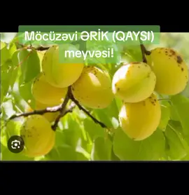 #sümük #qəbzlik #faydalıməlumatlar #fyp #görmə #vitamin #