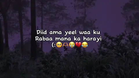 Ma ka harayi 😂#fyp #soomaali_tiktok🇸🇴🇸🇴 #fyppppppppppppppppppppppp #capcut 