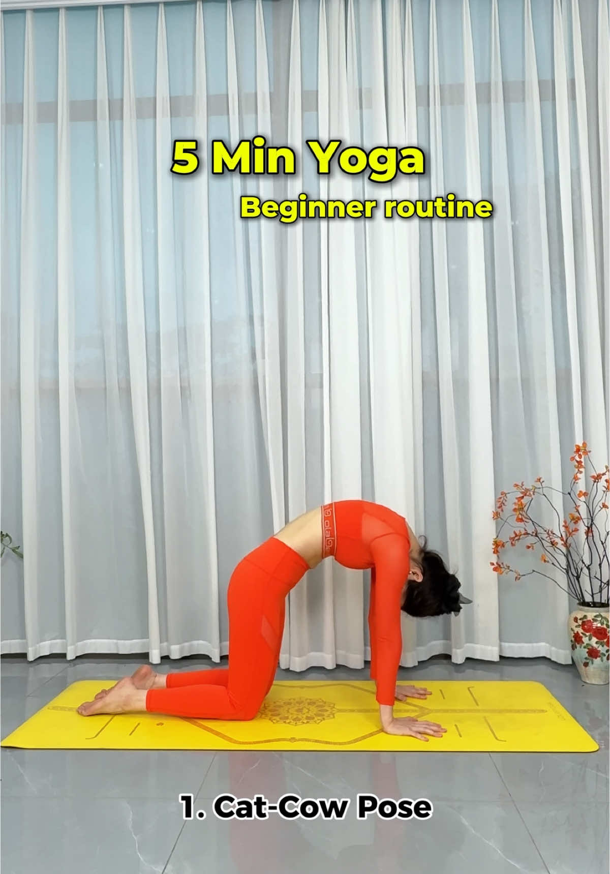 5 phút Yoga cơ bản cho người mới bắt đầu #yoga #hoahauyogavietnam2024 
