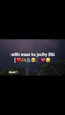 Qof dhex galay dhib waynaah💔#🤣#foryoupage #fyp #grow #100kviews 