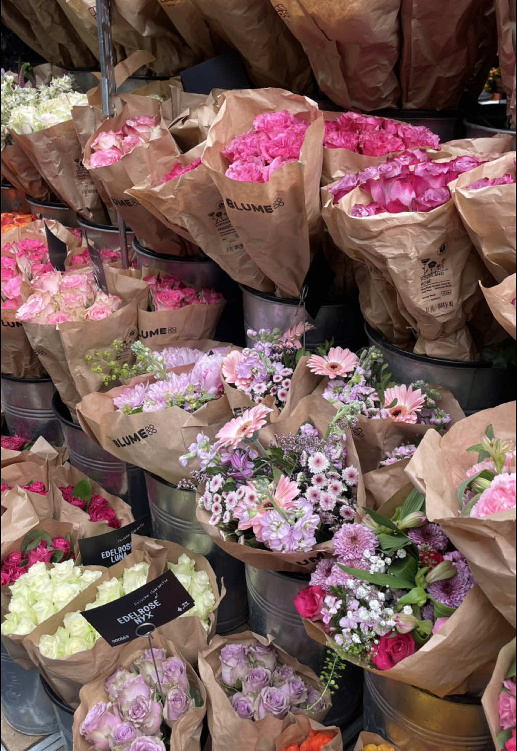 🌸 #flowers #softgirl #girlssupportgirls #pinterest #pinterestgirl #pinterestaesthetic #aesthetic 