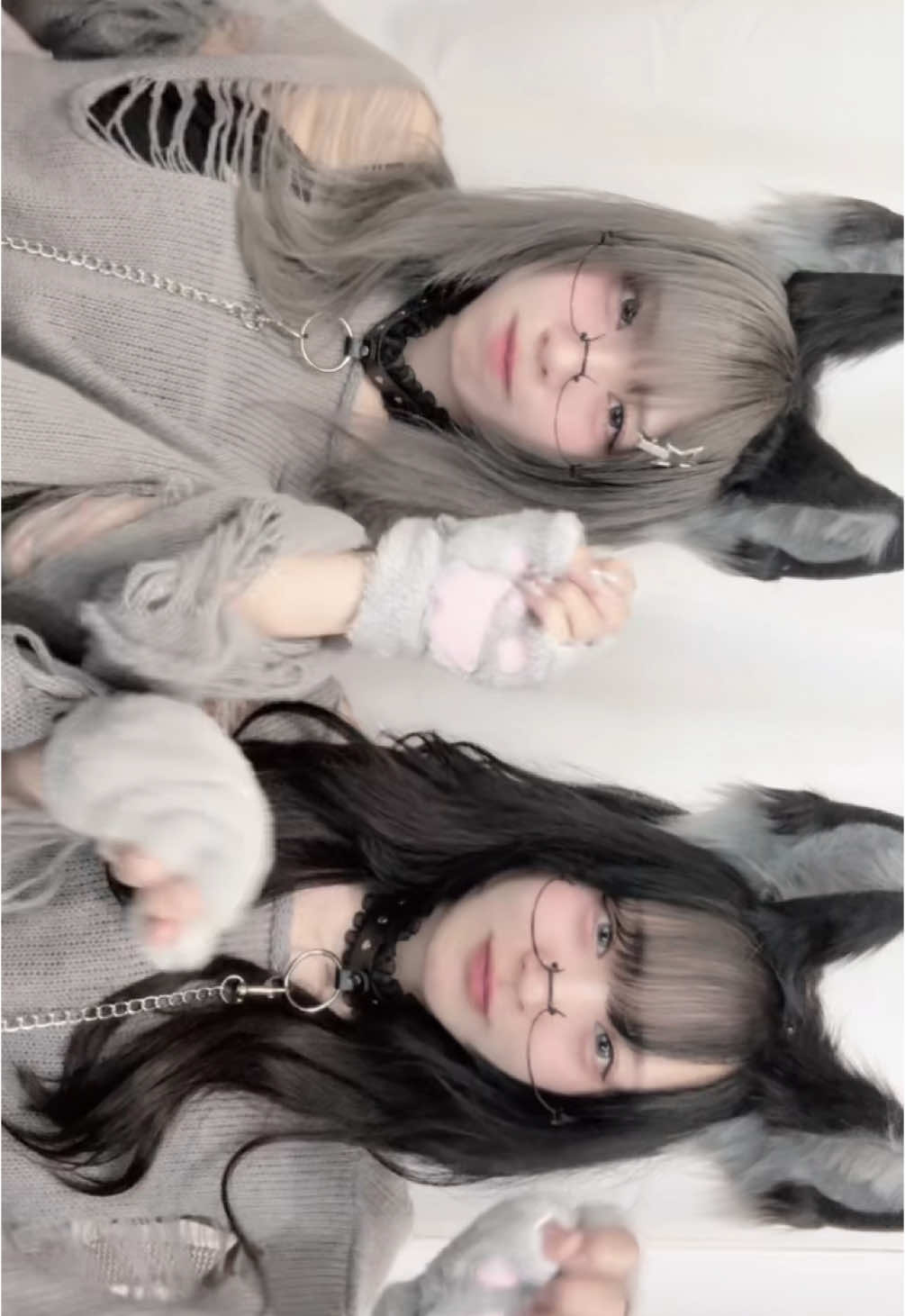 待てもお座りもできます！#fyp #おすすめ #アニマル #眼鏡 