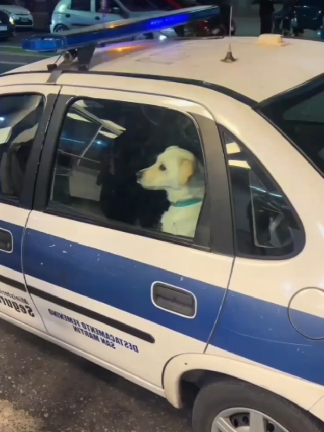 nooo nooo la policia