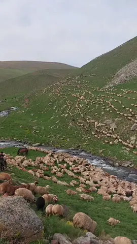 #keşfet #fyp #fypシ 