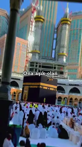 Kurban Bayramı yaklaşıyor #ilahi #ilahiler #ilahivideolari #foryou 