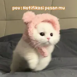 notif lucu nih😋 #notifikasiwhatsaap #notifikasi #pesan #lucu #fyp #foryouu #fypage #bismillahfyp 