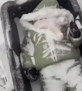 In Scandinavian countries it's common to see babies sleeping outside in prams even in sub-zero temperatures. This tradition stems from a belief in the power of fresh air to promote healthy sleep and development #interesting