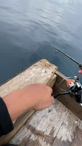 sangat TERHINA !!! #fypシ゚ #videoviral #viralvideo #fyppppppppppppppppppppppp #fyp #fypage #fypシ゚viral🖤tiktok #fyppp #mancingikan #mancingmania #mancingmaniamantap🐟🎣 #ikanayamayam #pemancinghandal #lautbelawan #shikarihunterprey #he3000 