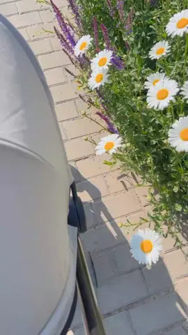 🥹🌷.  #اكسبلورر #اكسبلوررررر #foryoupage #اكسبلوررررر #foryoupage #اكسبلوررررر #foryoupage #اكسبلوررررر #foryoupage #اكسبلوررررر 