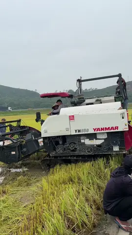 Độ cái này êm cho nhân công 