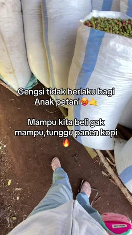 Info harge best #fyp #petanimuda #petanimilenial #jemekite # #kopirobusta #pagaralam_salam_jeme_kite 