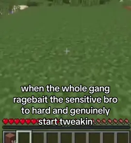 calm down twin #fyp #tiktok #ref #Minecraft #mad #ragebait #angry 