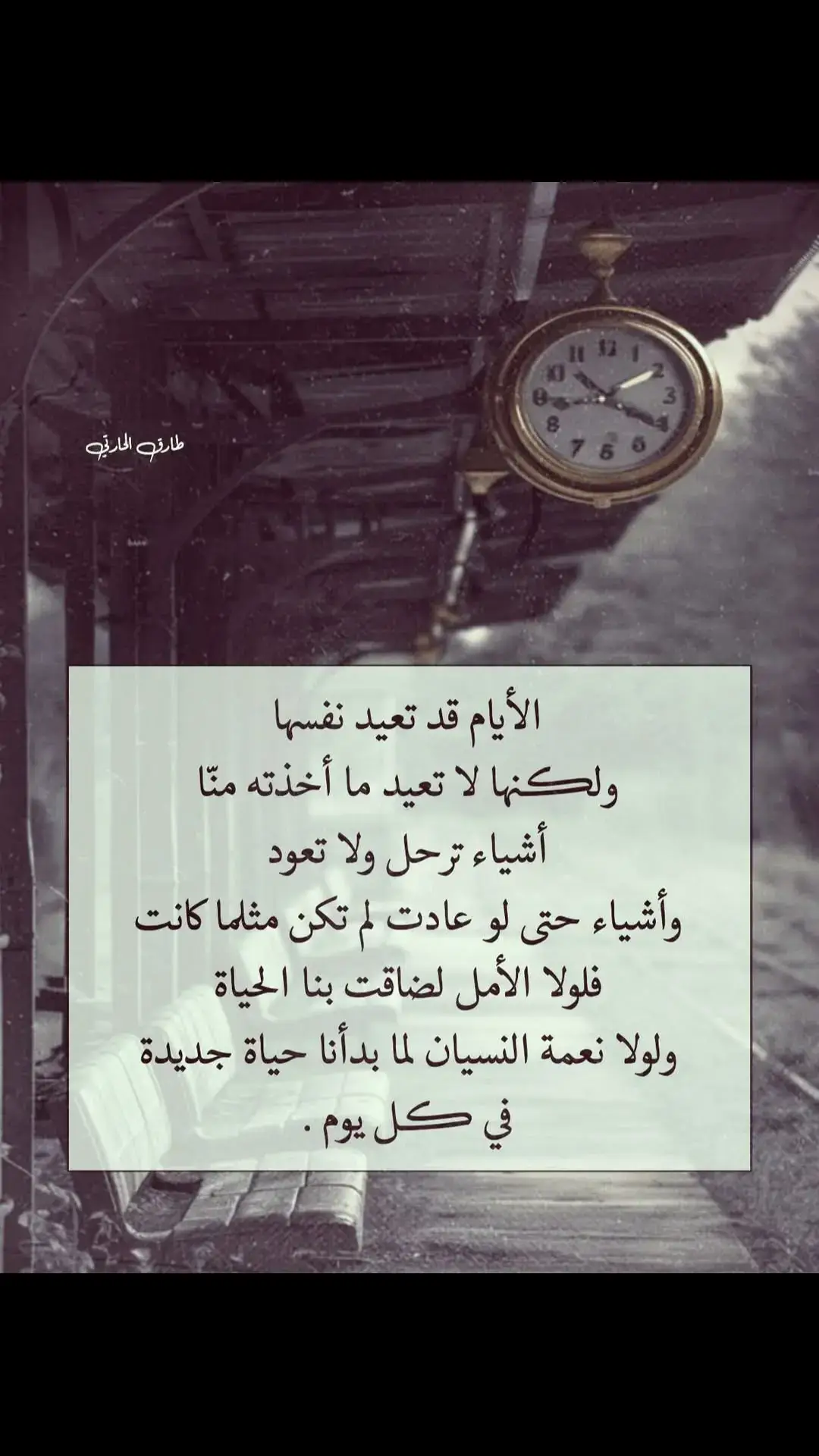#🎵🎻🎻🎻🎵 #أفلاطون 